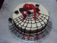 /album/homem-aranha/anversario-felipe-2012-831-jpg/